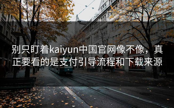 别只盯着kaiyun中国官网像不像，真正要看的是支付引导流程和下载来源